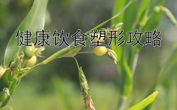 健康饮食塑形攻略