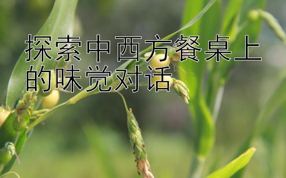 探索中西方餐桌上的味觉对话