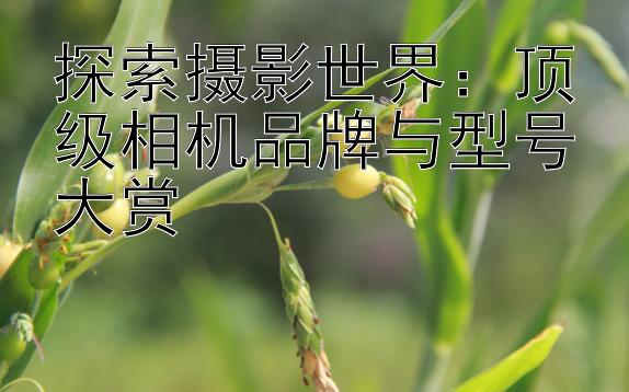 探索摄影世界：顶级相机品牌与型号大赏