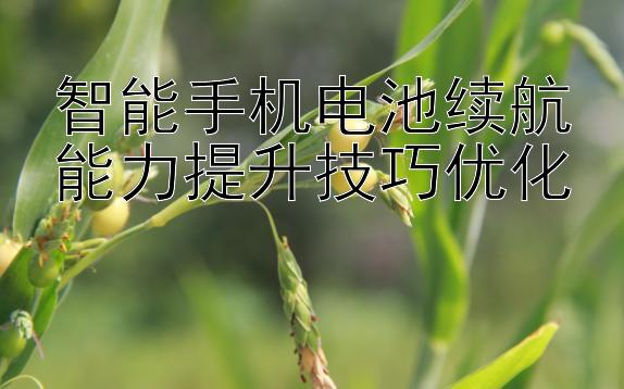 智能手机电池续航能力提升技巧优化