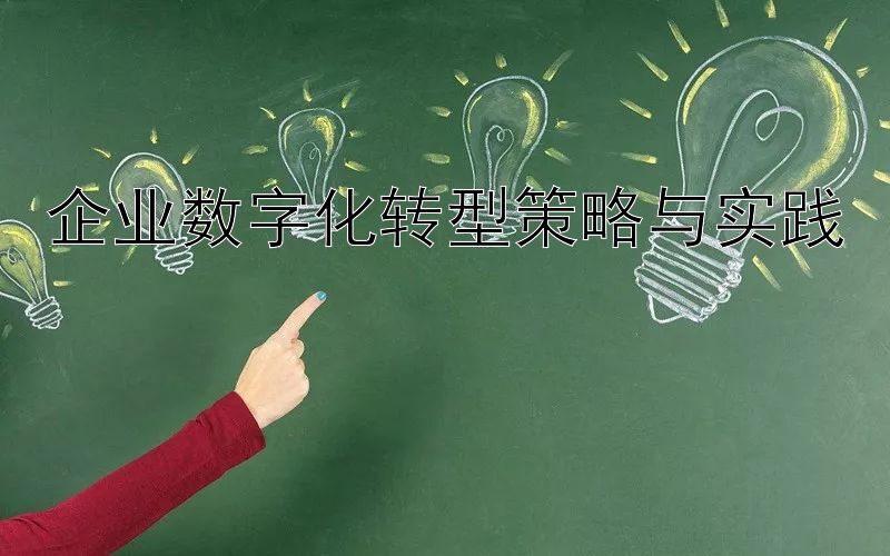 企业数字化转型策略与实践