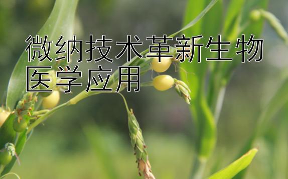 微纳技术革新生物医学应用