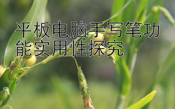 平板电脑手写笔功能实用性探究