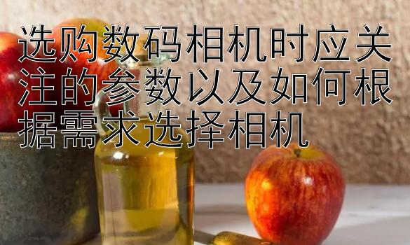 选购数码相机时应关注的参数以及如何根据需求选择相机