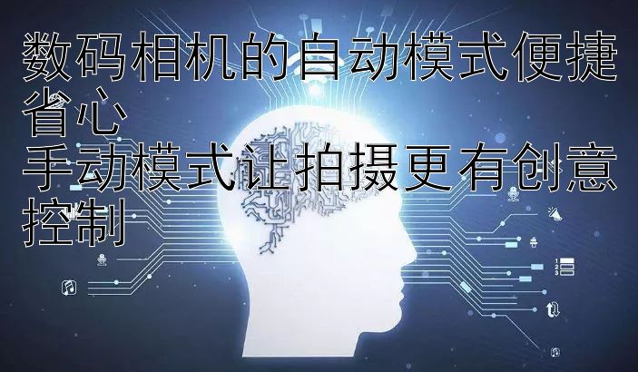 数码相机的自动模式便捷省心  
手动模式让拍摄更有创意控制