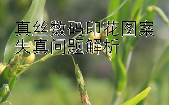 真丝数码印花图案失真问题解析