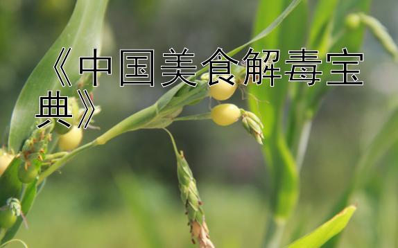 《中国美食解毒宝典》